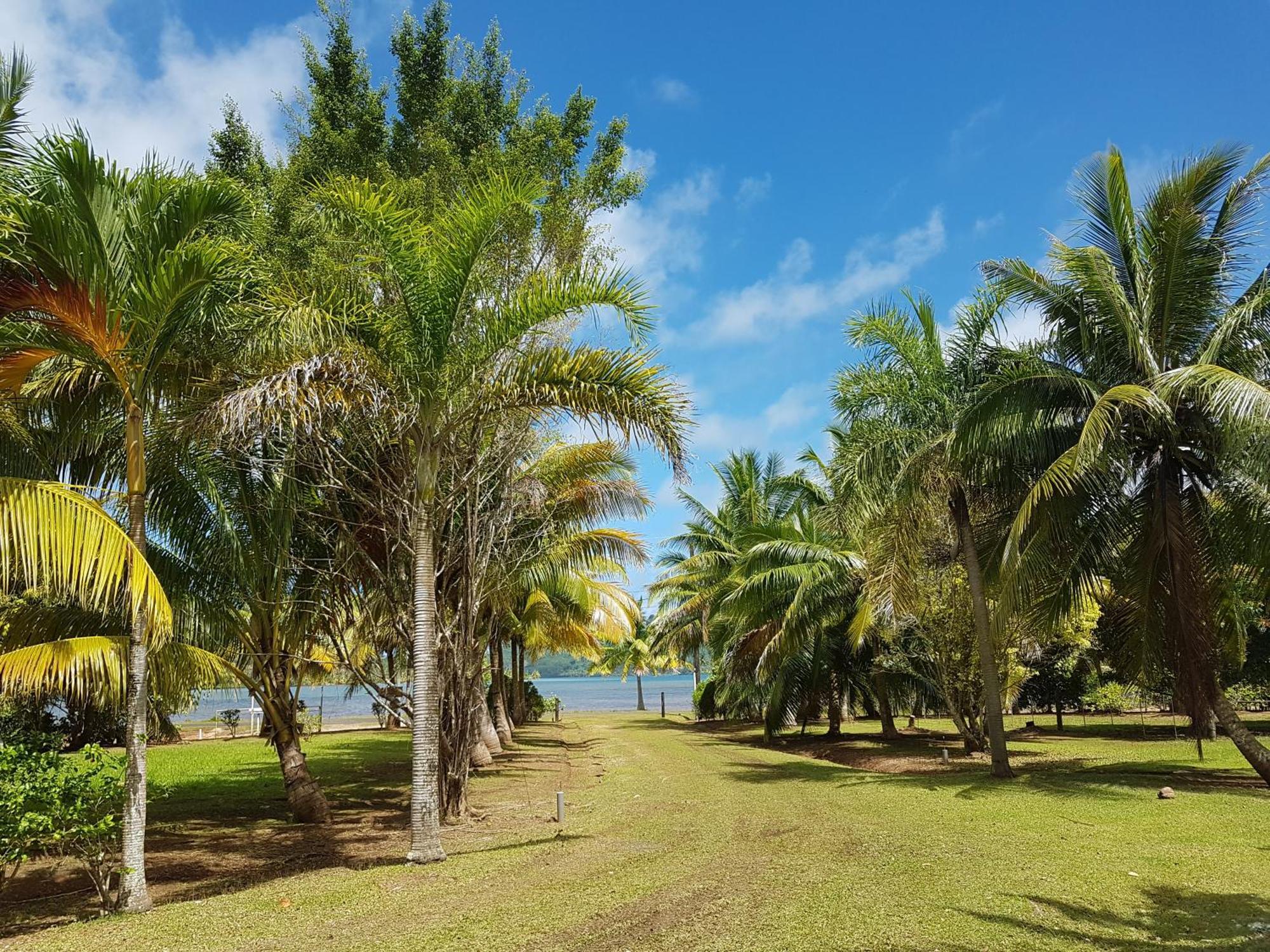 Villas Teakavehere - Fare Hibiscus Haapu エクステリア 写真